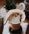 Professional Latte Art Class Advanced Training